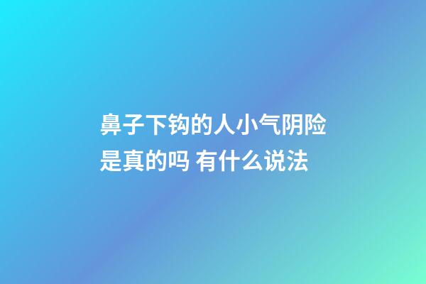 鼻子下钩的人小气阴险是真的吗 有什么说法